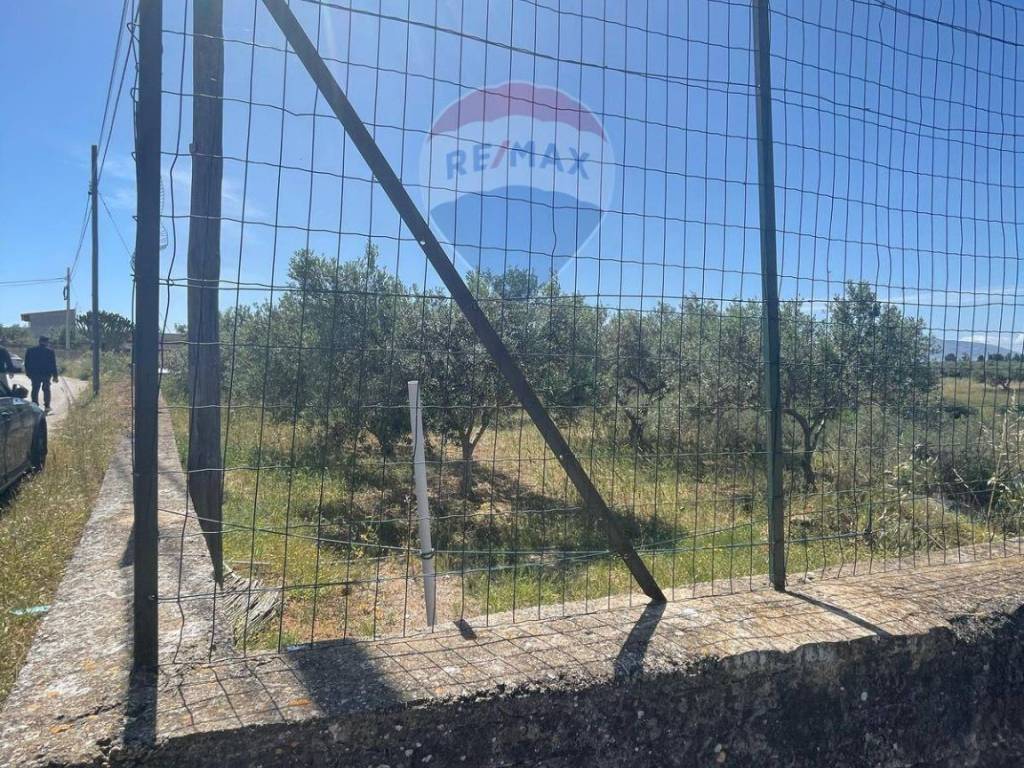 Terreno a Balestrate in Contrada Settepani - Foto 5