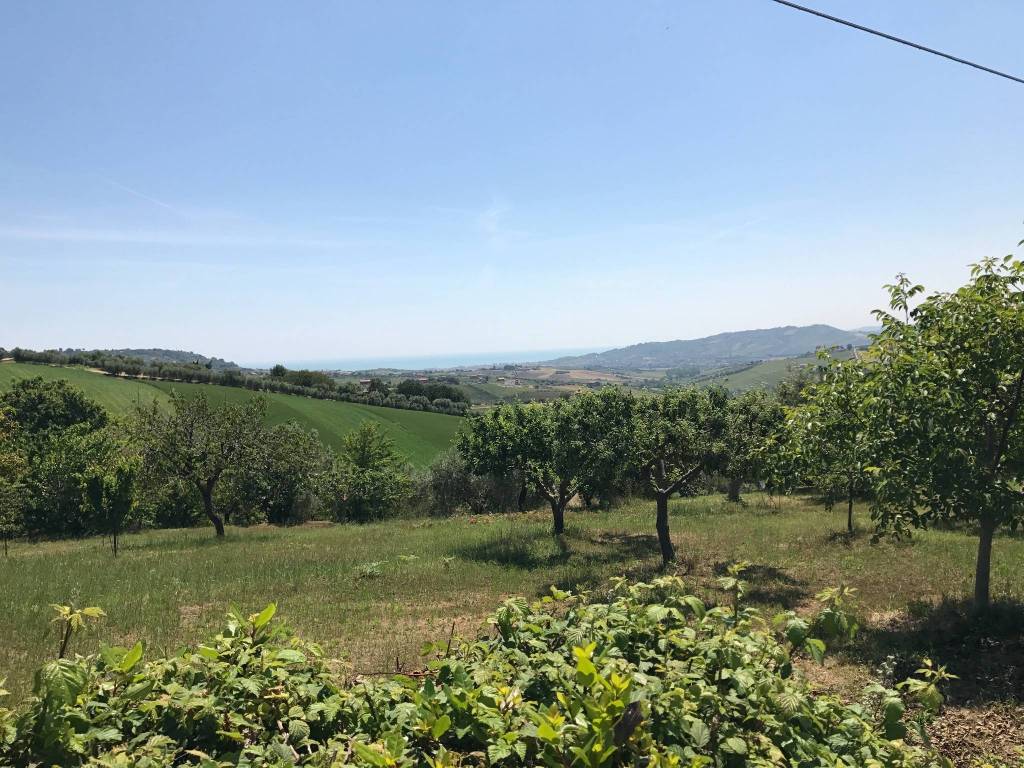 Terreno a Colonnella in Contrada Rio Moro, 35 - Foto 4