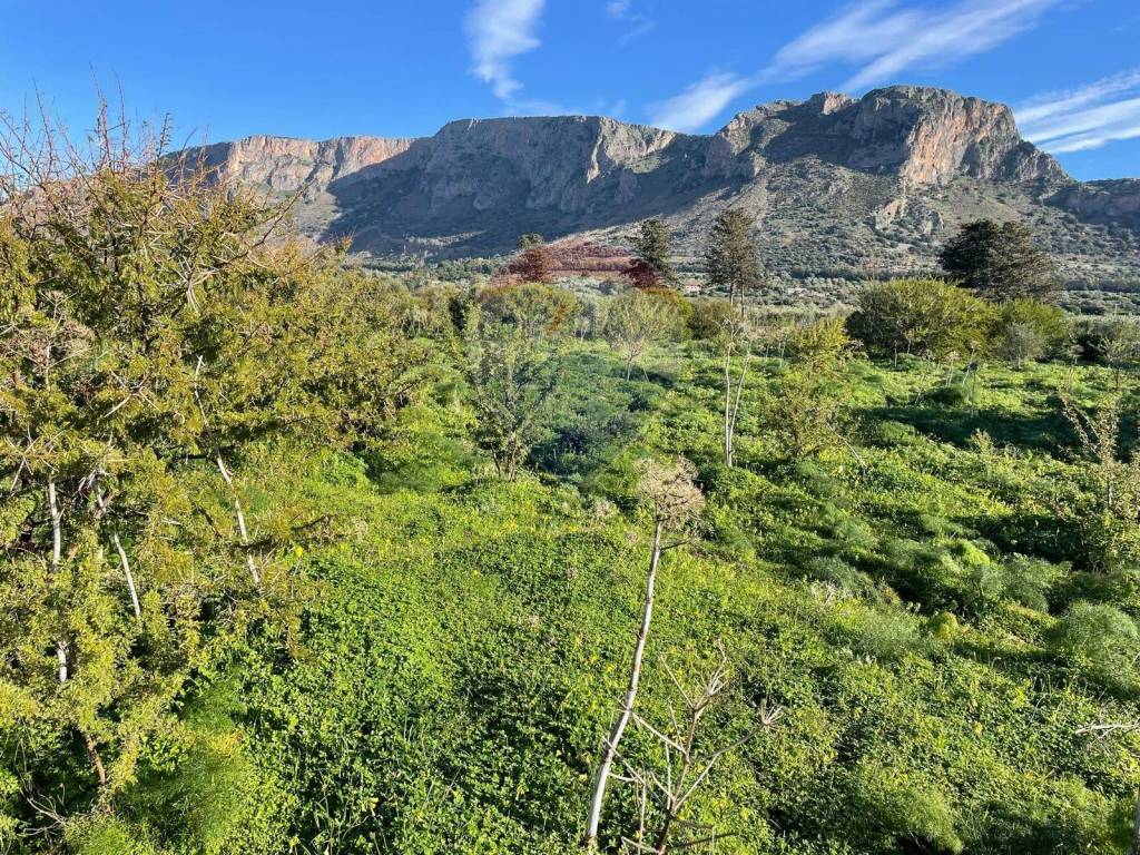 Terreno a Terrasini in contrada Piano Guardia - Foto 3