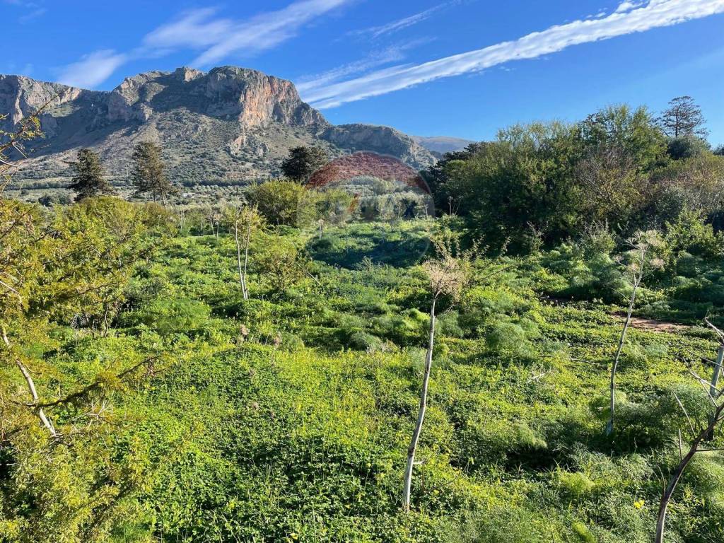 Terreno a Terrasini in contrada Piano Guardia - Foto 4
