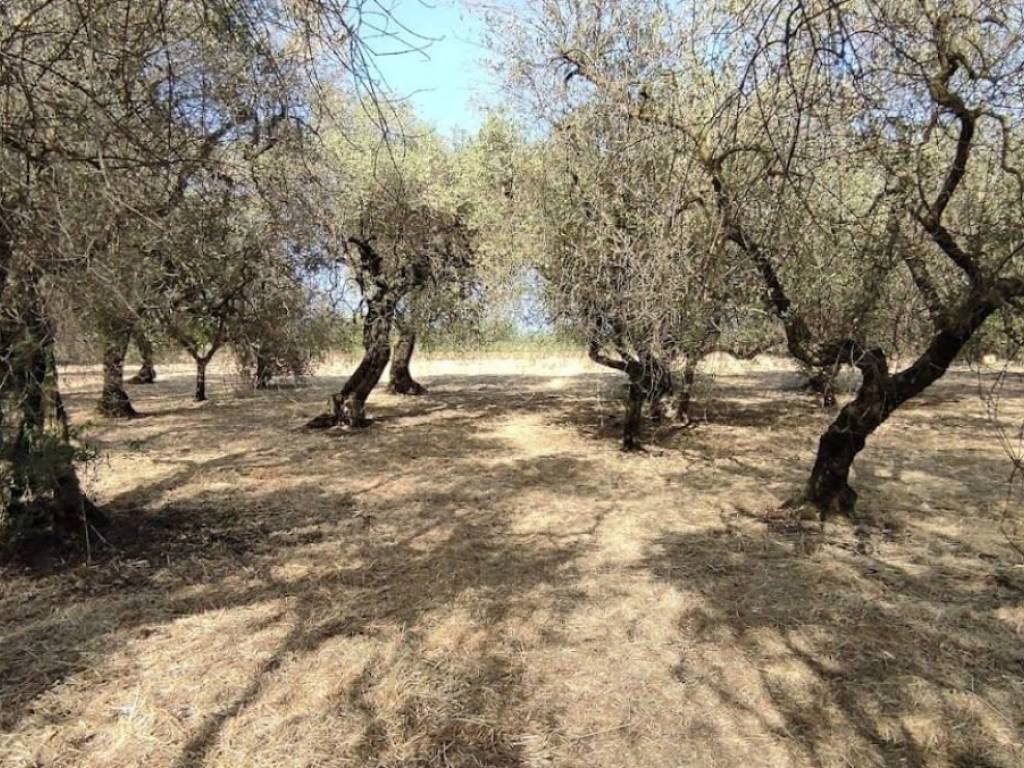 Villa a Formia in Via Ponzanello-Mamurrano S.N.C. - Foto 2