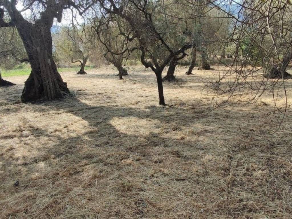 Villa a Formia in Via Ponzanello-Mamurrano S.N.C. - Foto 3