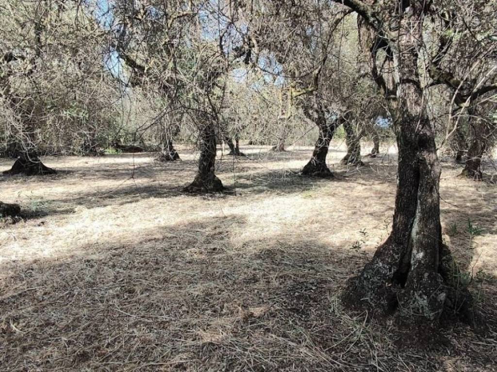 Villa a Formia in Via Ponzanello-Mamurrano S.N.C. - Foto 4