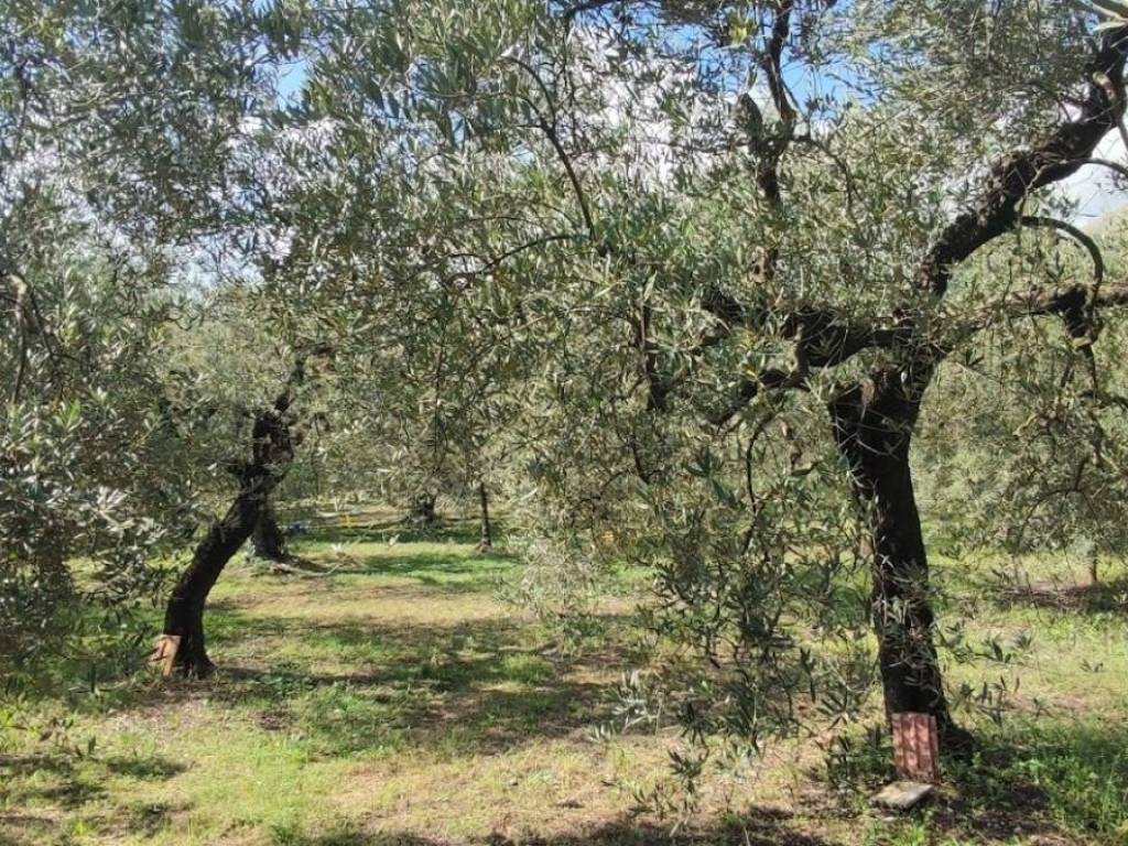 Villa a Formia in Via Rotabile - Foto 5
