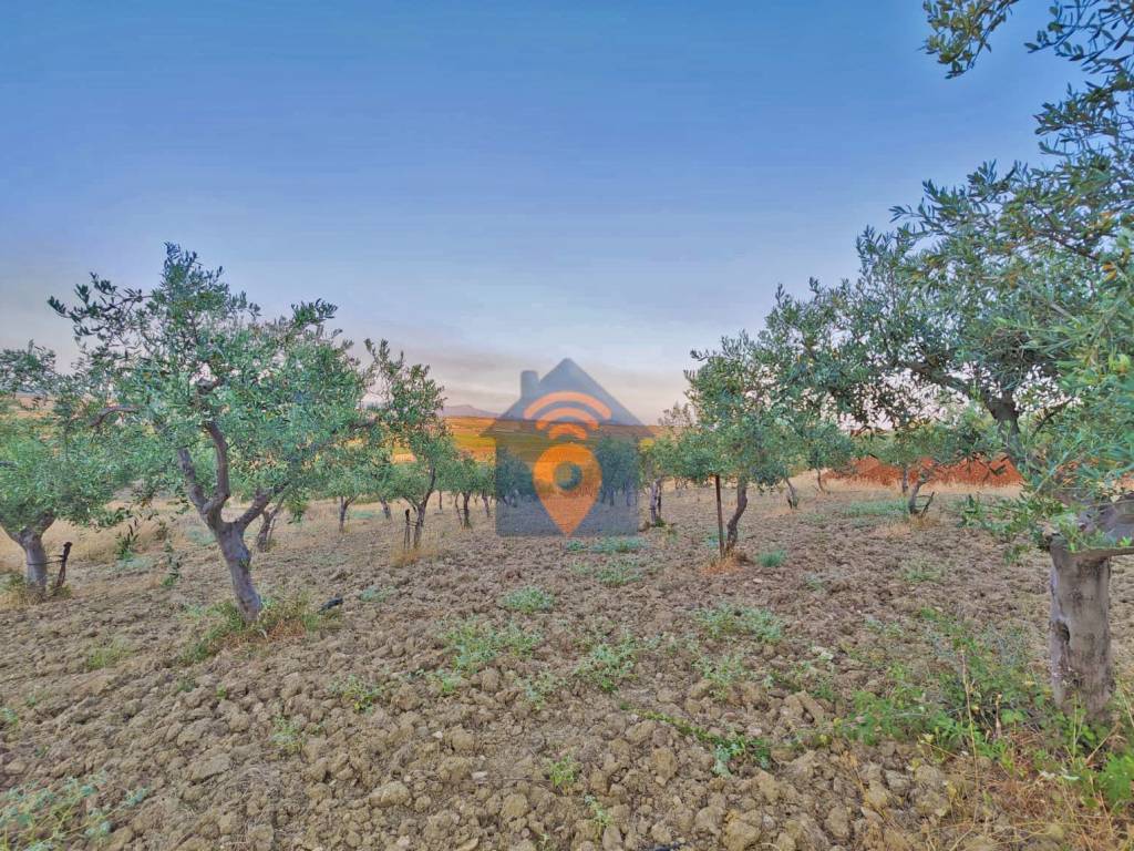 Terreno a Castelvetrano in Contrada Belice Mare - Foto 3