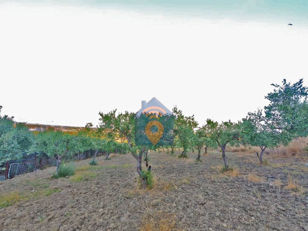 Terreno a Castelvetrano in Contrada Belice Mare - Foto 4