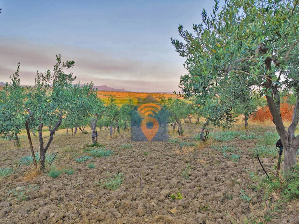 Terreno a Castelvetrano in Contrada Belice Mare - Foto 5