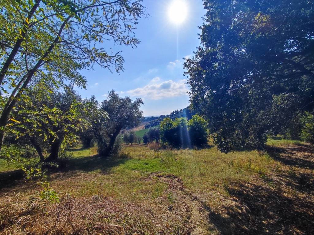 Terreno a Fano - Foto 2