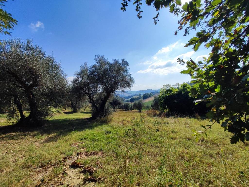Terreno a Fano - Foto 3