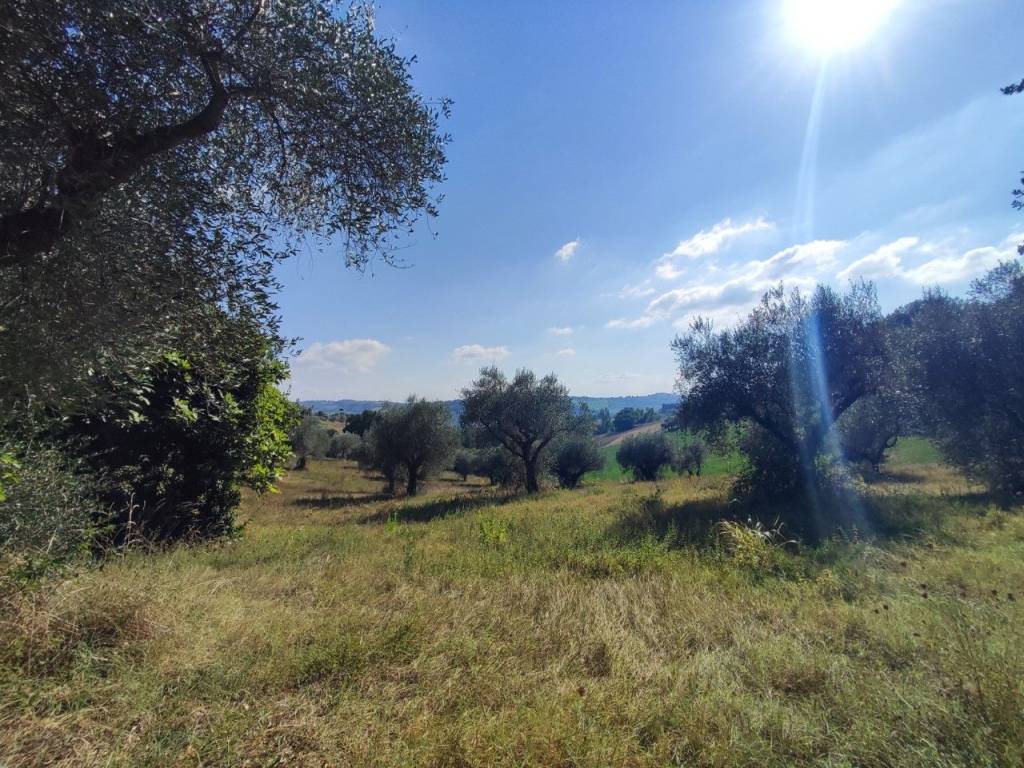 Terreno a Fano - Foto 4