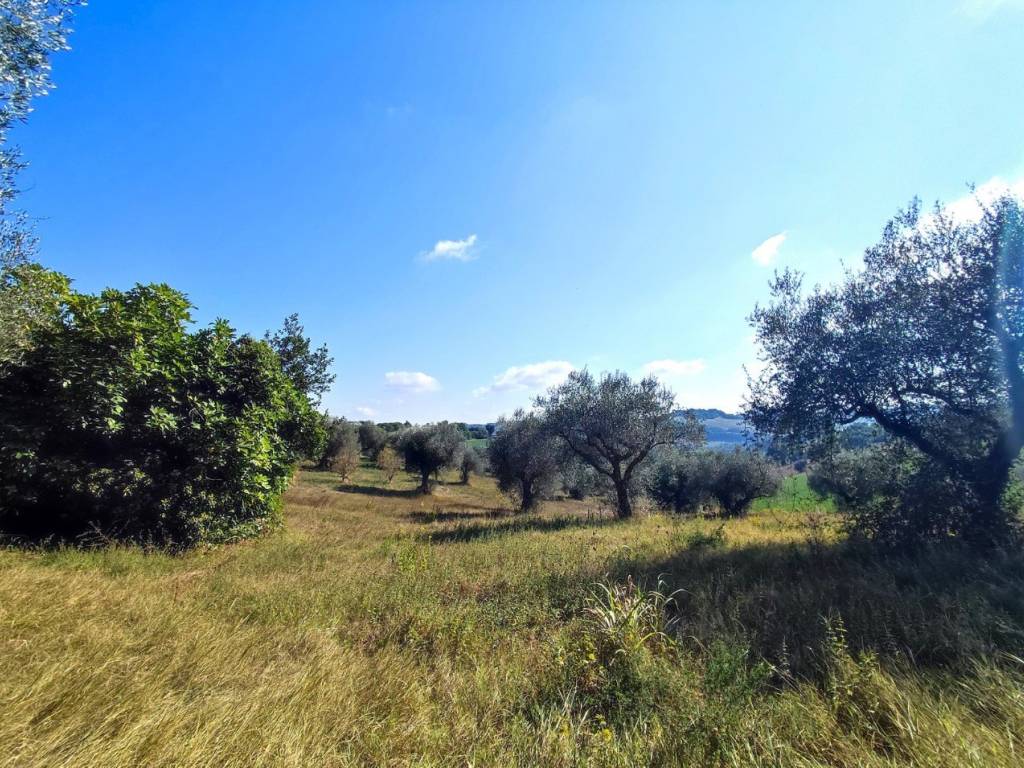 Terreno a Fano - Foto 5