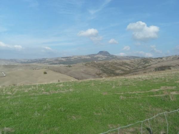 Rustico / casale a Radicofani - Foto 3