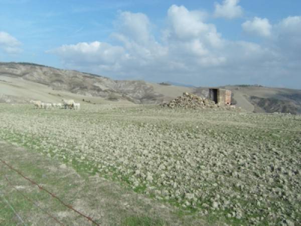 Rustico / casale a Radicofani - Foto 5