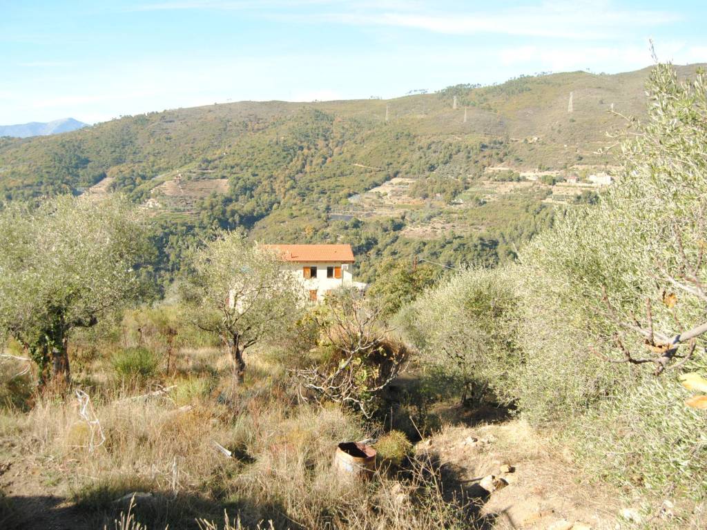 Terreno a Seborga in Strada Villa, 8 - Foto 2