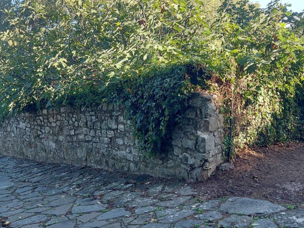 Rustico / casale a Castiglione della pescaia in Strada Comunale della Scala Santa - Foto 3