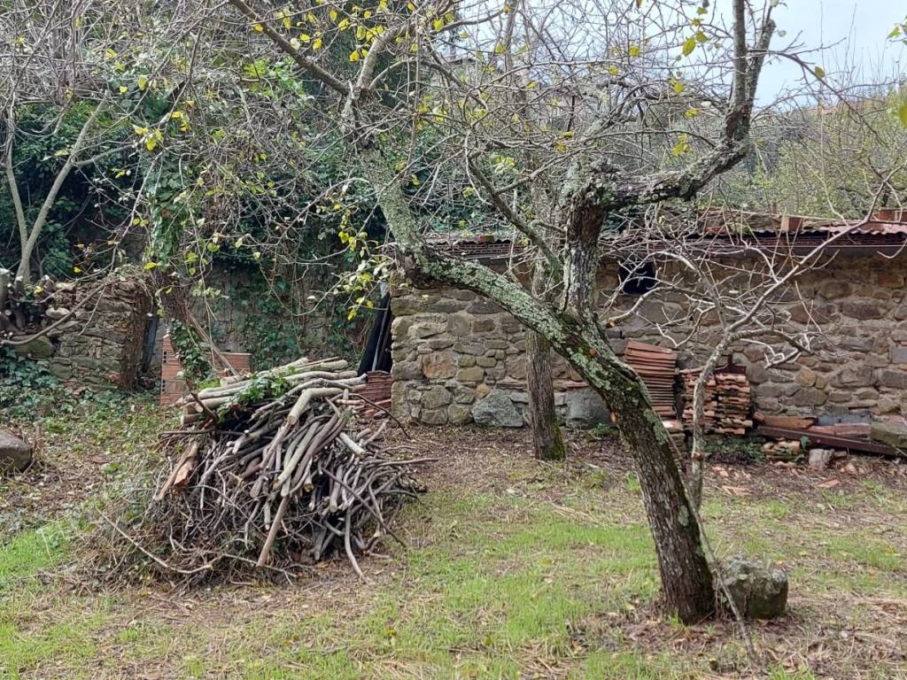 Rustico / casale a Castiglione della pescaia in Strada Comunale della Scala Santa - Foto 5