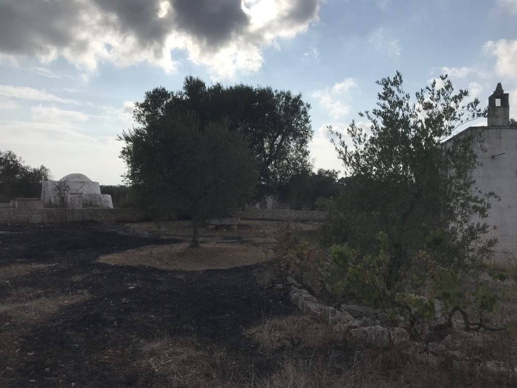 Rustico / casale a Carovigno in Contrada Gaeta Grande - Foto 5
