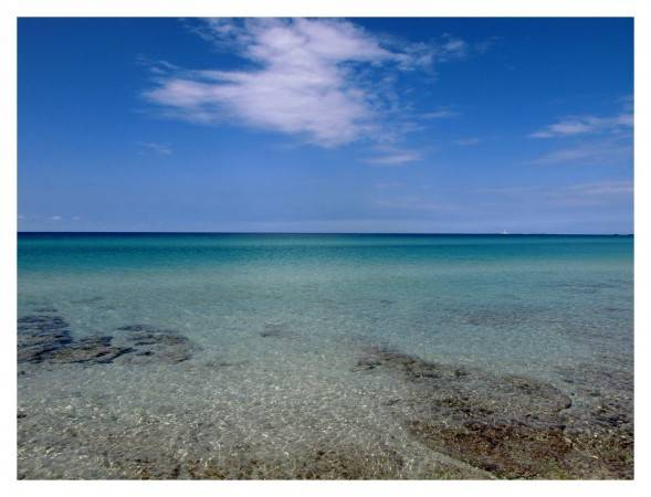 Terreno a Gallipoli in Strada Provinciale194 - Foto 5