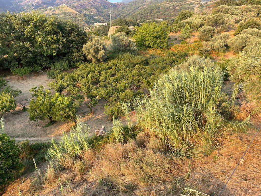 Appartamento a Belvedere marittimo in Malafarina - Foto 3