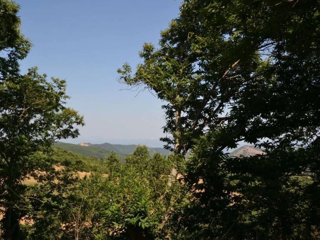 Villa a Arcidosso - Foto 4