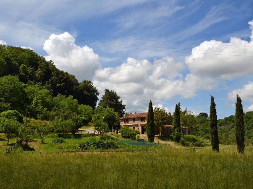 Rustico / casale a Seggiano - Foto 4