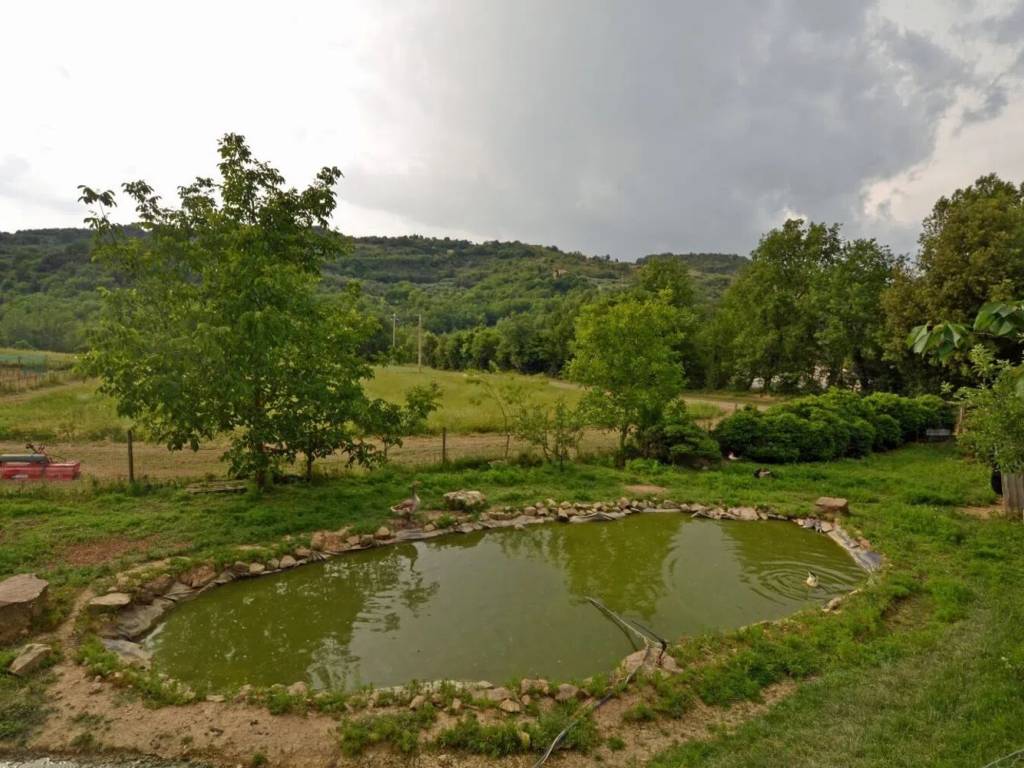 Rustico / casale a Seggiano - Foto 5