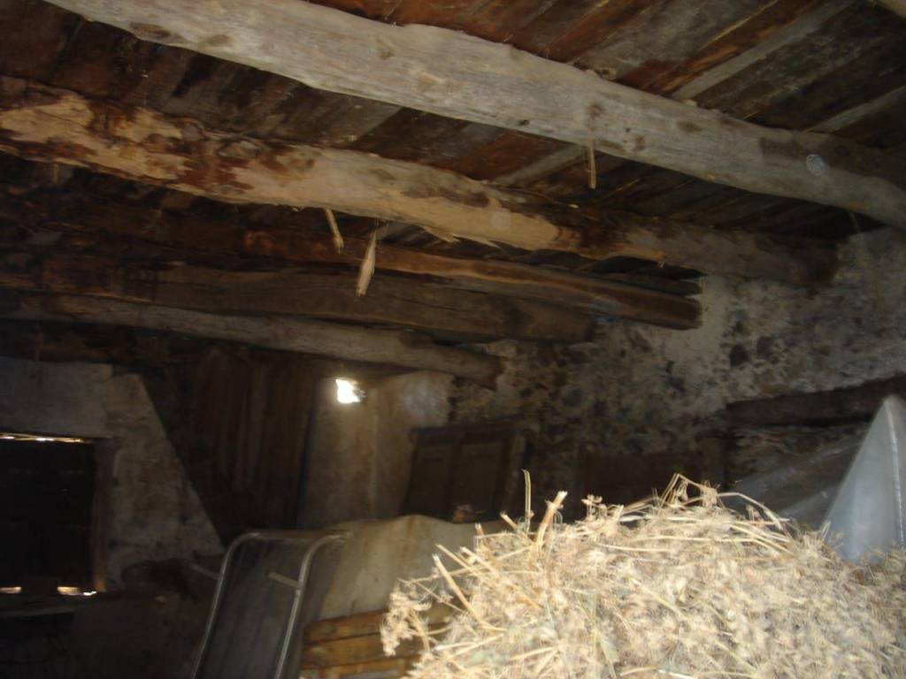 Rustico / casale a Belvedere marittimo in Contrada Laise - Foto 3