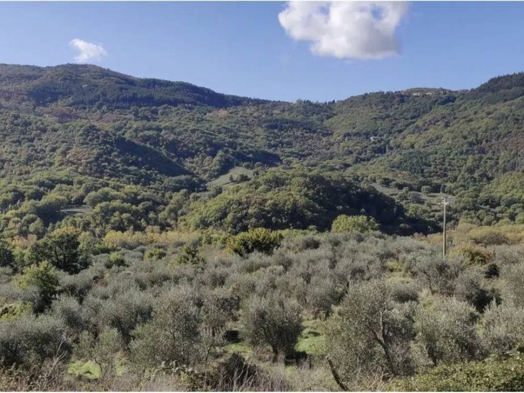 Rustico / casale a Arcidosso - Foto 2
