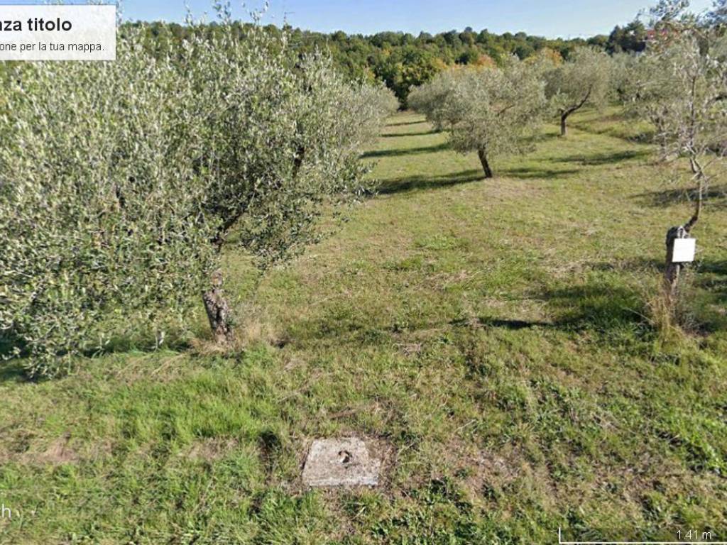Terreno a Isernia in Contrada Valle Soda - Foto 4