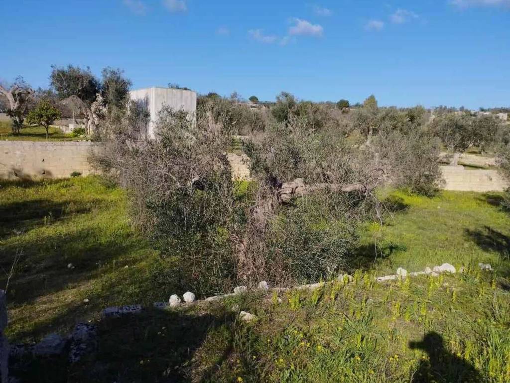 Terreno a Corsano in Strada Provinciale 187 S.N.C. - Foto 3