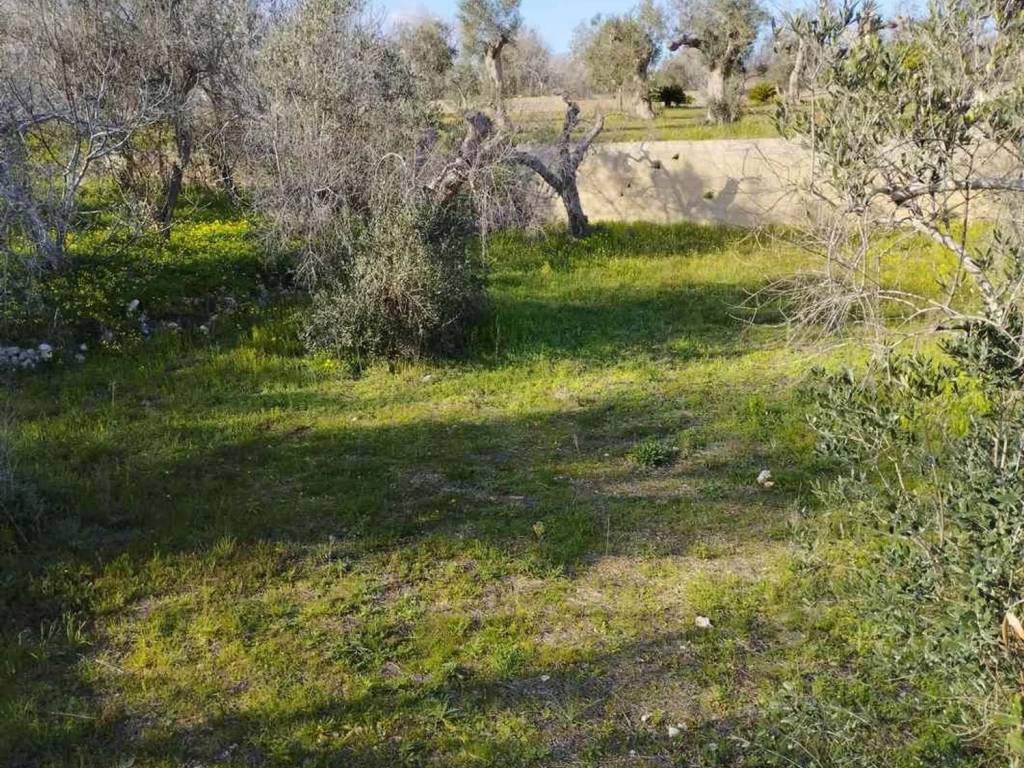 Terreno a Corsano in Strada Provinciale 187 S.N.C. - Foto 5