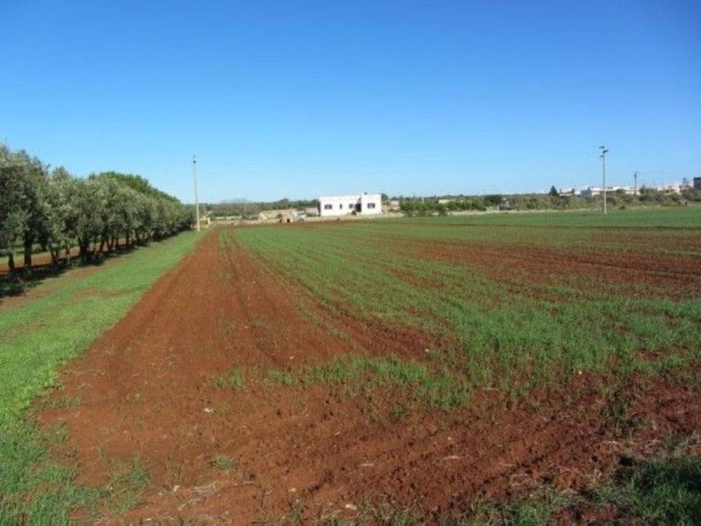 Terreno a Salve - Foto 2