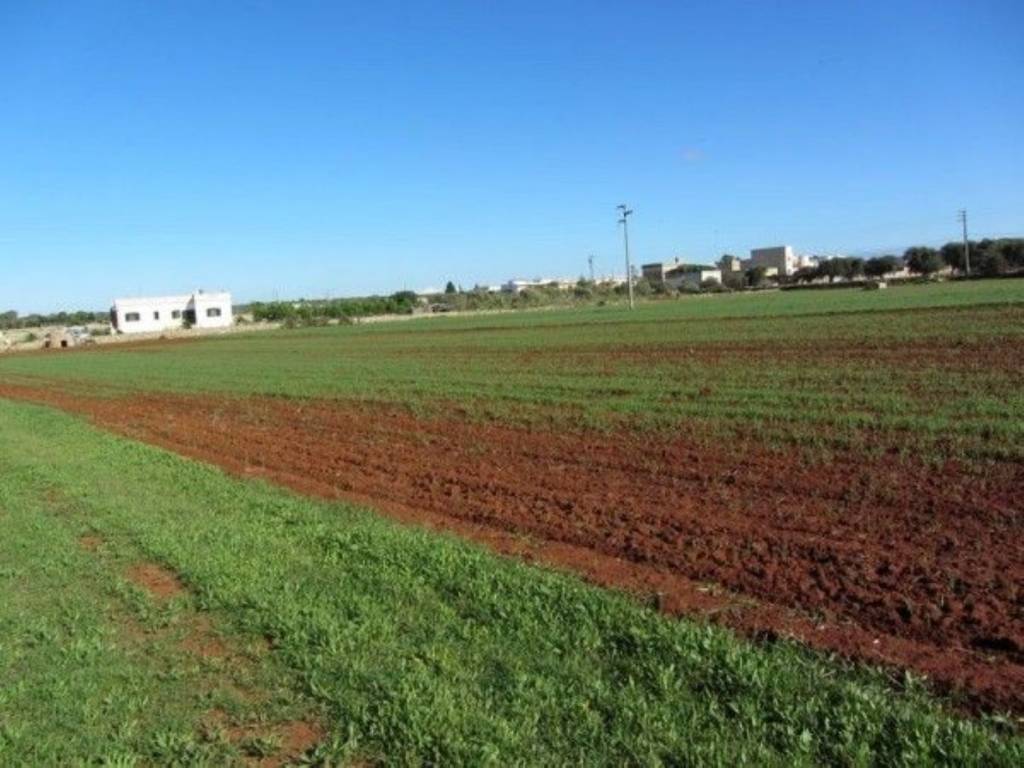 Terreno a Salve - Foto 3