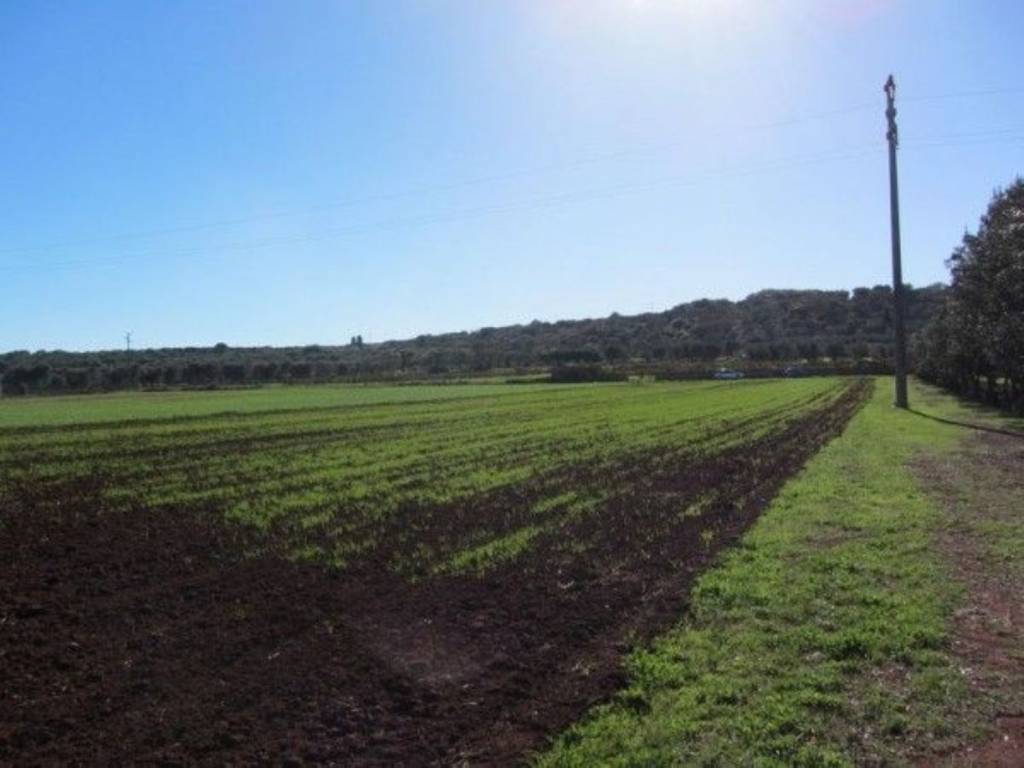 Terreno a Salve - Foto 4