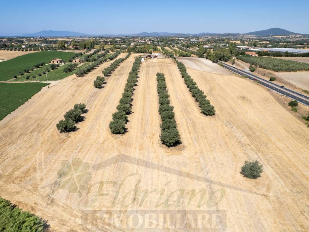 Terreno a Montalto di castro in Località Chiesa Vecchia - Foto 2