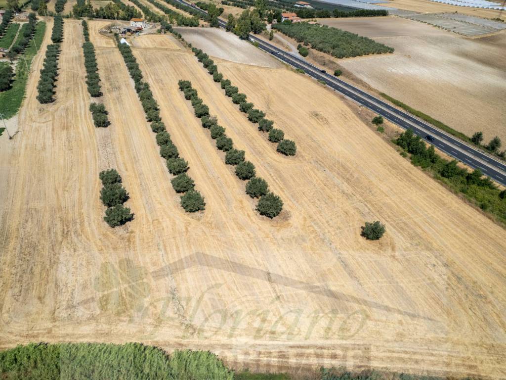 Terreno a Montalto di castro in Località Chiesa Vecchia - Foto 4