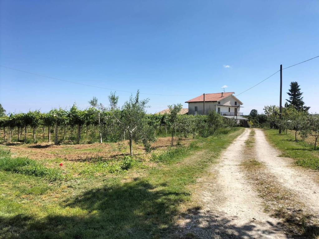 Rustico / casale a Orsogna in Contrada Barannale - Foto 4