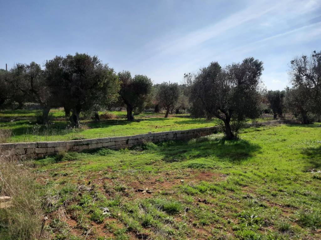 Terreno a Gagliano del capo - Foto 2