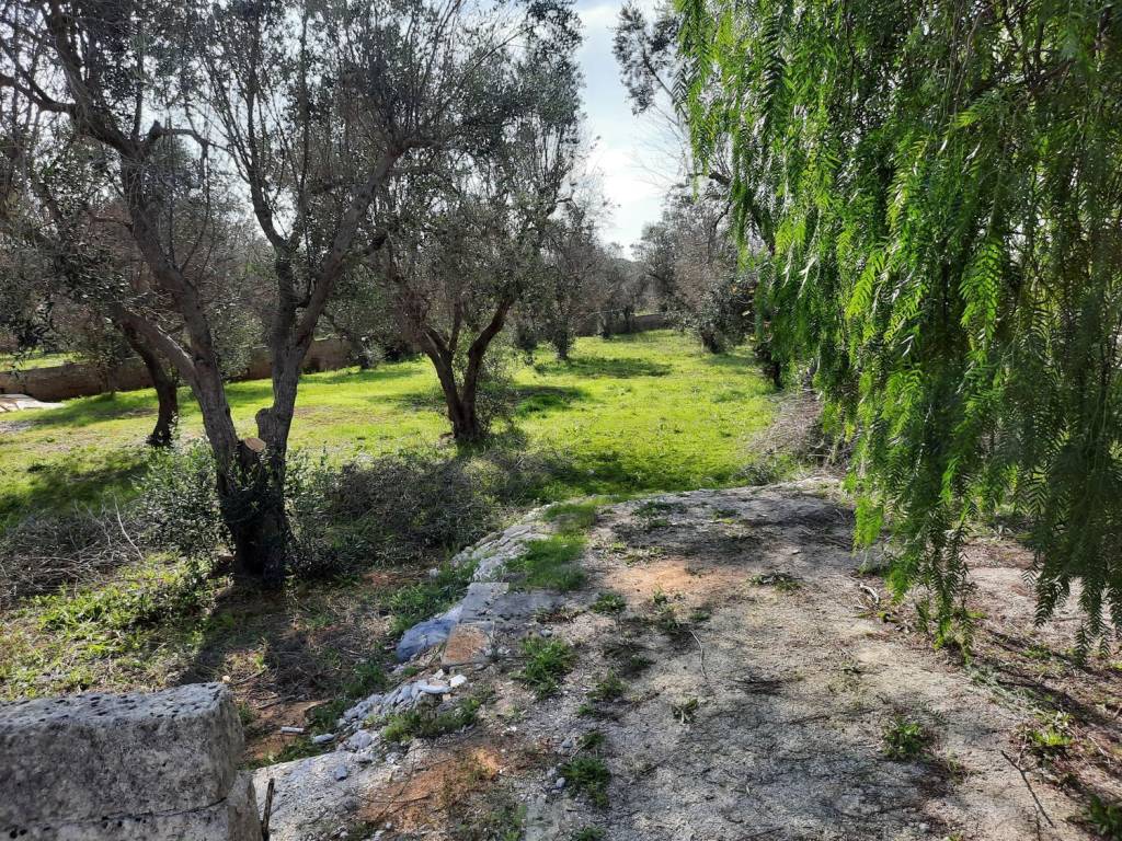 Terreno a Gagliano del capo - Foto 4