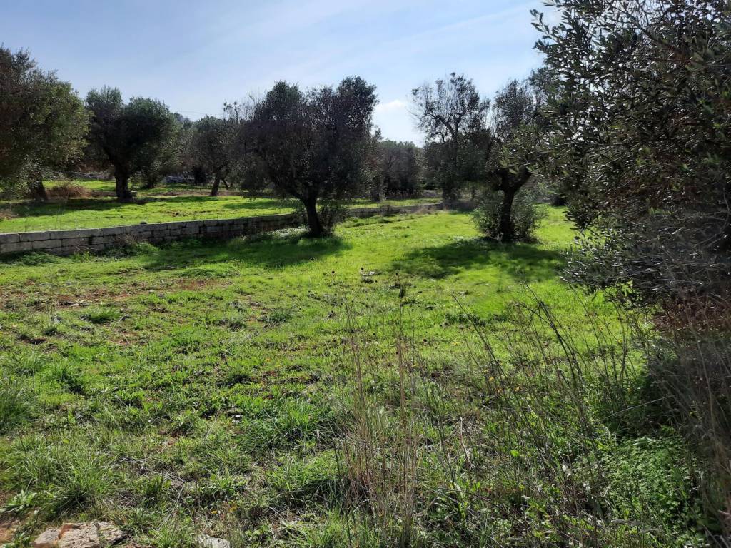 Terreno a Gagliano del capo - Foto 5
