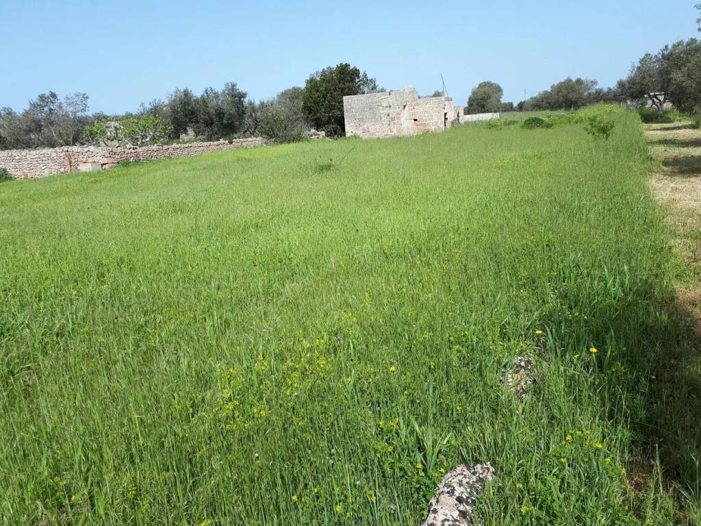Terreno a Alessano - Foto 5
