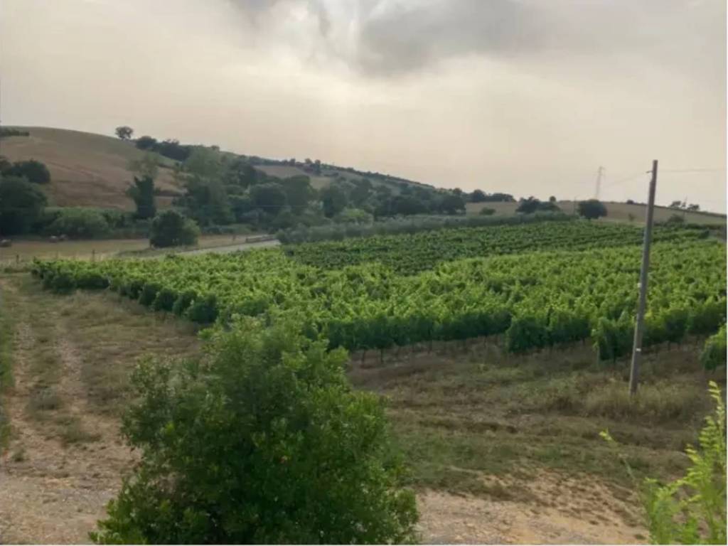 Rustico / casale a Magliano in toscana in Via Provinciale - Foto 2