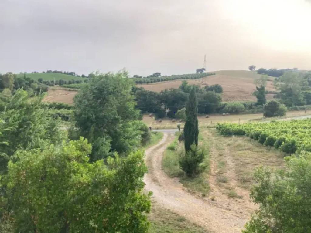 Rustico / casale a Magliano in toscana in Via Provinciale - Foto 4