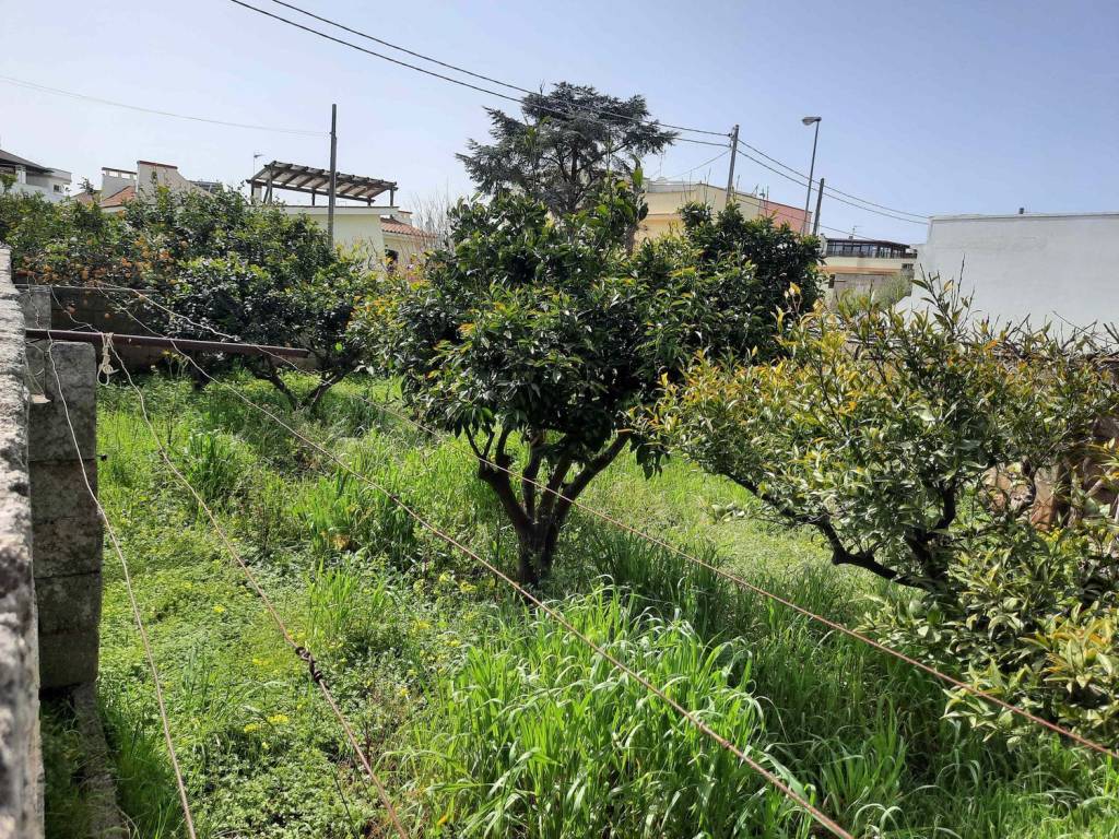 Terreno a Corsano in Via Confalonieri S.N.C. - Foto 2