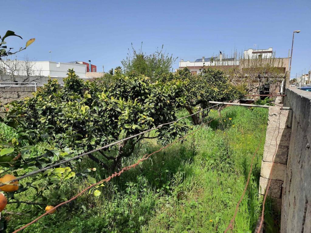 Terreno a Corsano in Via Confalonieri S.N.C. - Foto 4