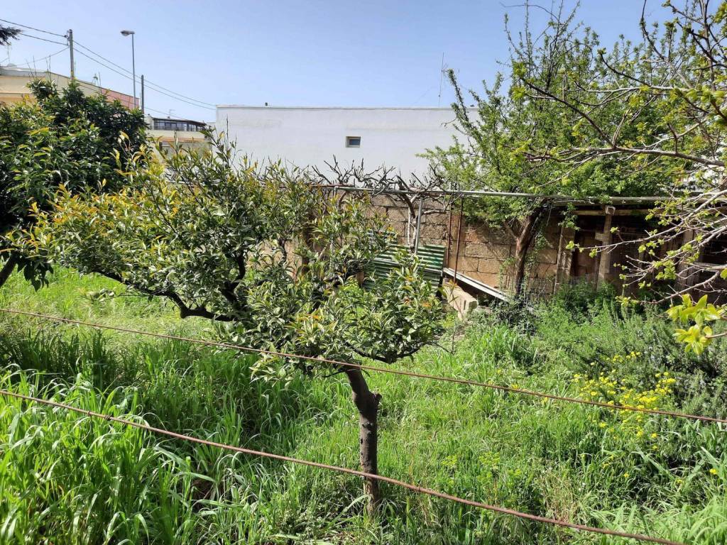 Terreno a Corsano in Via Confalonieri S.N.C. - Foto 5