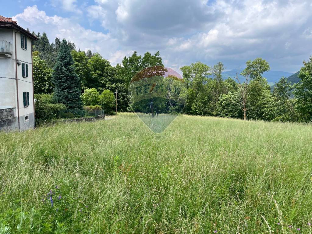 Terreno a Ameno - Foto 5