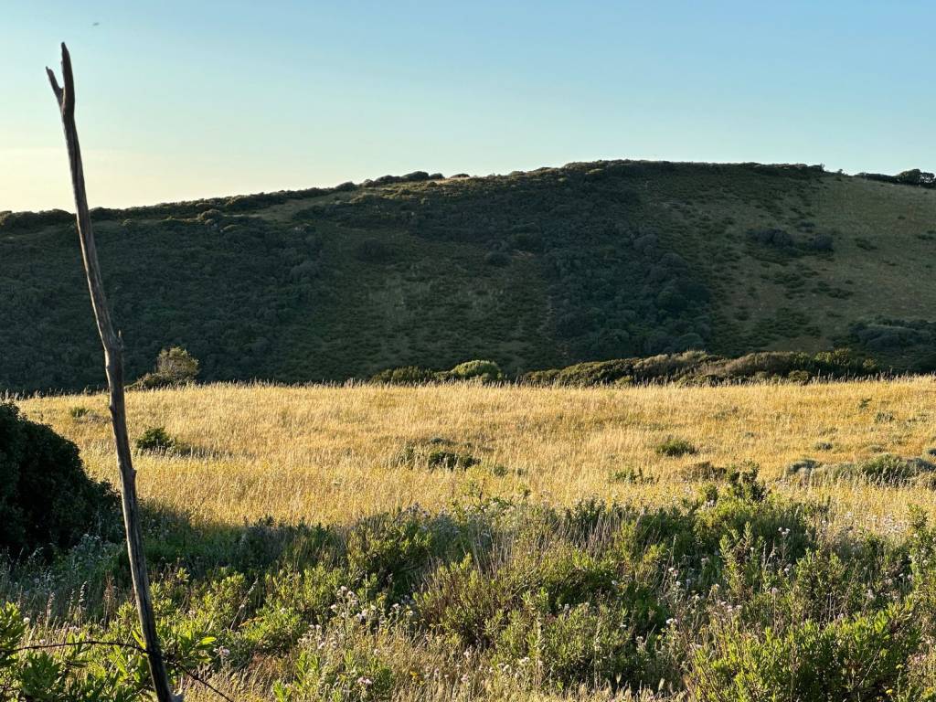Terreno a Aglientu - Foto 2