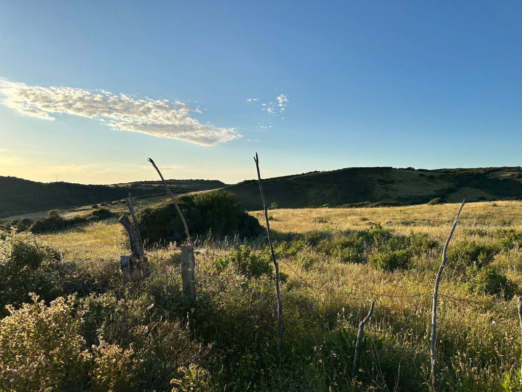 Terreno a Aglientu - Foto 4
