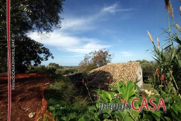 Rustico / casale a Briatico in Via Sciconi, 5 - Foto 5